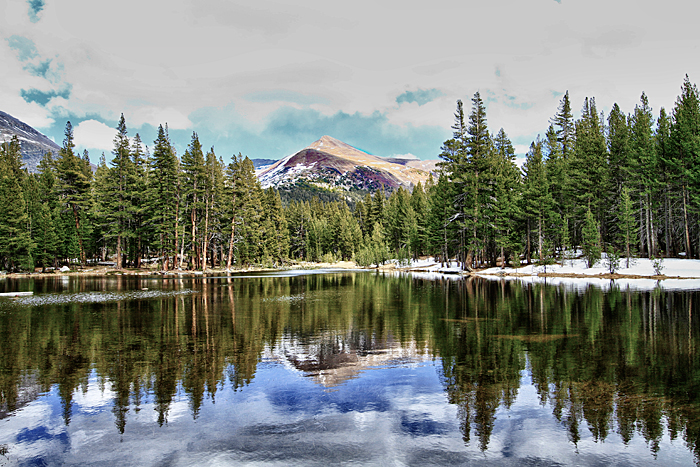 Tarn Near Dana Meadows