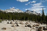Glacial Erratics