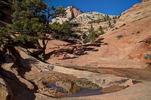 Pothole Canyon
