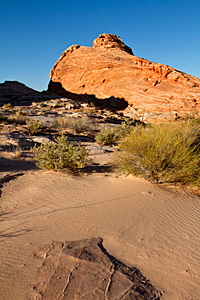 Red Sandstone