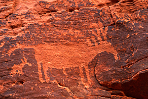 Horse Petroglyph