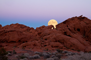 Moonrise