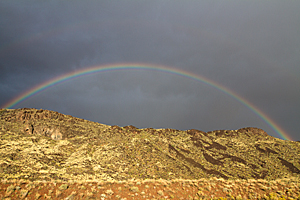 Rainbow