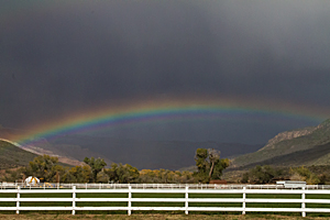 Rainbow