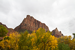 The Watchman