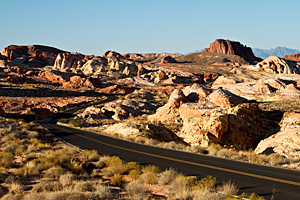 Mouse's Tank Road