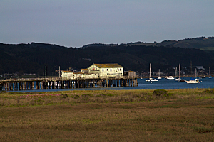 Fishing Wharf