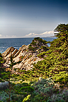 Point Lobos