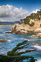 Point Lobos