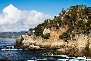 Point Lobos