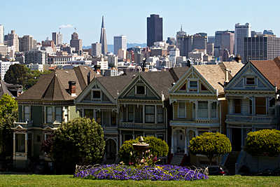Painted Ladies