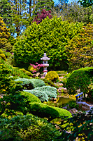 Japanese Tea Garden