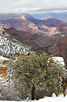 Grandview Point