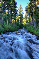 Paradise River