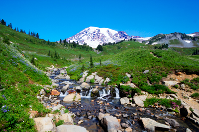 Paradise Creek
