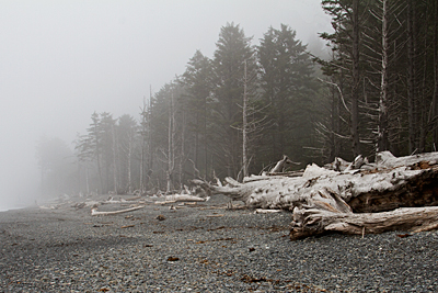 R⁮ialto Beach