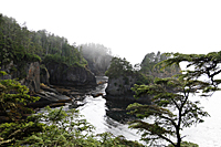 Cape Flattery