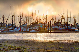 Neah Bay Harbor