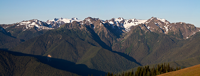 Hurricane Ridge