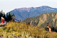 Hurricane Ridge