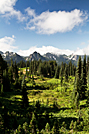 Deadhorse Creek