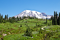 Deadhorse Creek Trail