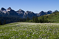 Tatoosh Range