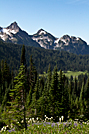Paradise Valley from the Skyline Trail