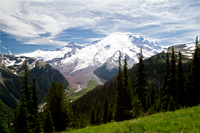 Emmons Glacier