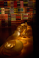 Chihully Museum