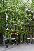 Pioneer Square