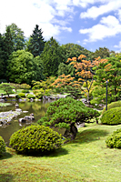 Japanese Garden