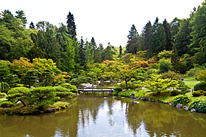 Japanese Garden