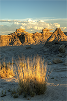 Bisti Wilderness