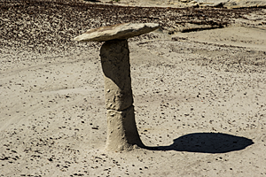 Bisti Hoodoo