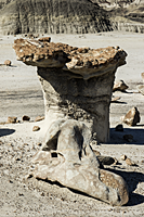 Bisti Hoodoo