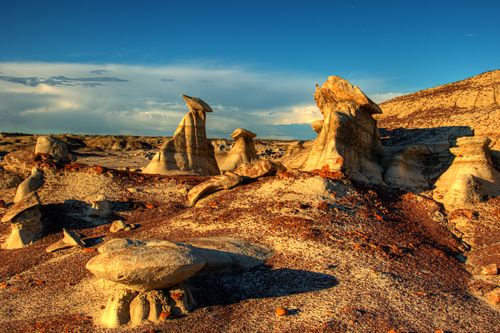 Bisti