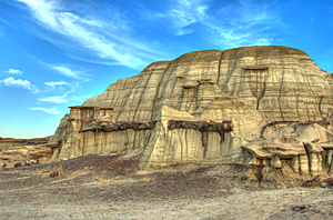 Petrified Log