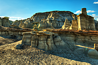 Petrified Log