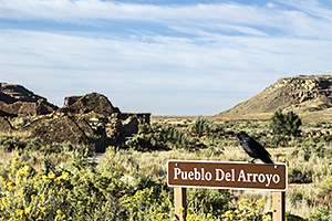 Pueblo del Arroyo Raven