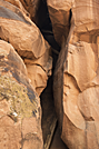 Moonflower Canyon Ladder