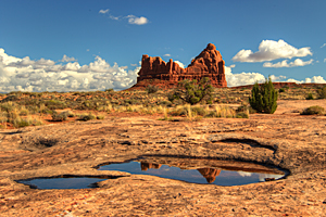 Courthouse Towers