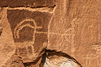 Bighorn Hunt