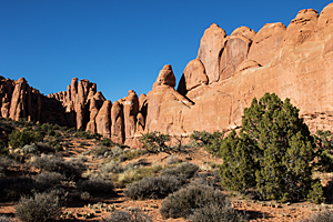 Devils Garden Area