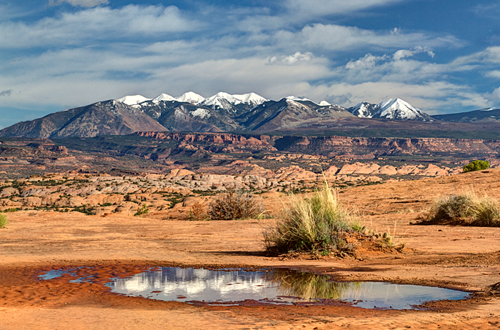 La Sal Mountain Reflection
