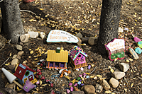 Fairy Forest