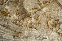 Dinosaur Quarry