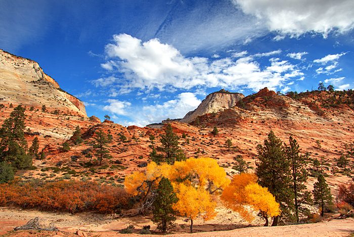 Pine Creek Color