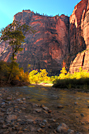 Virgin River