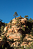 Sandstone Art